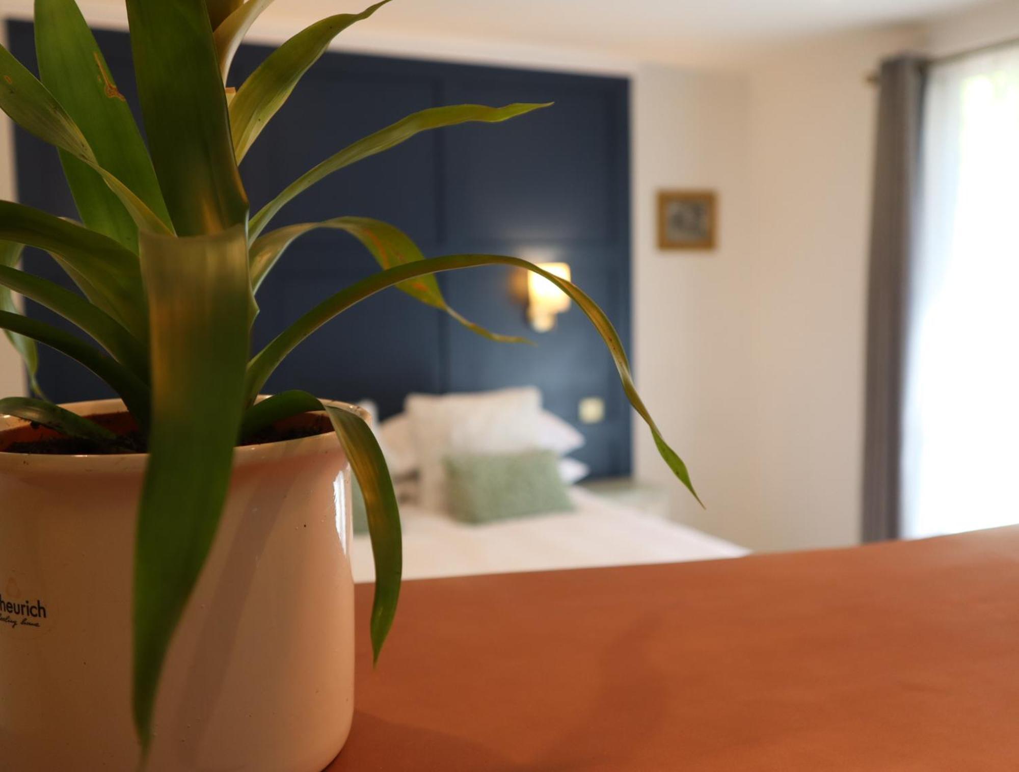 The Garden Retreat Villa Killarney Buitenkant foto